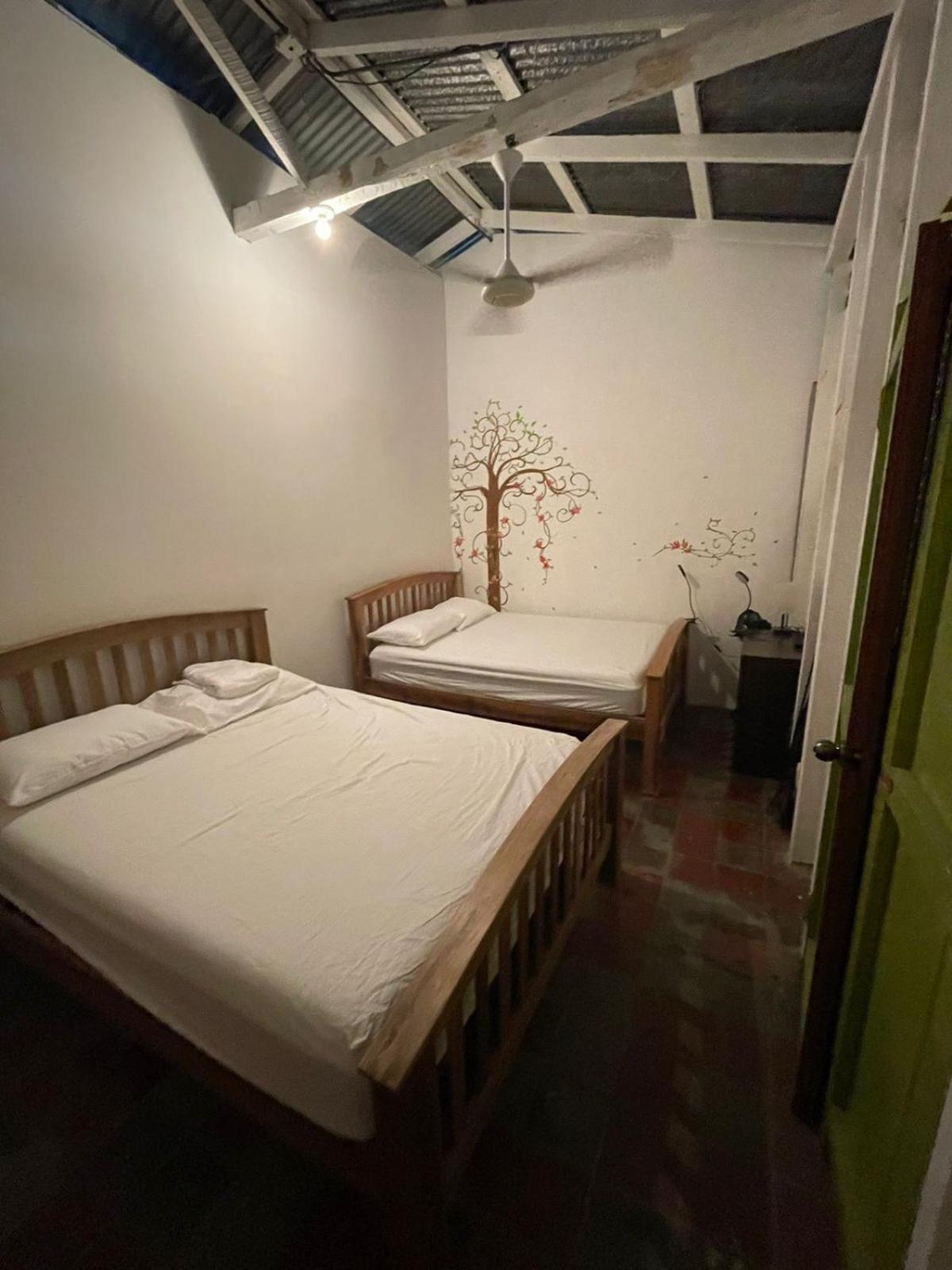 Mango Cafe And Hostel 南圣胡安 外观 照片